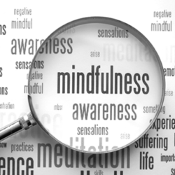mindfulness_TEASER.fw